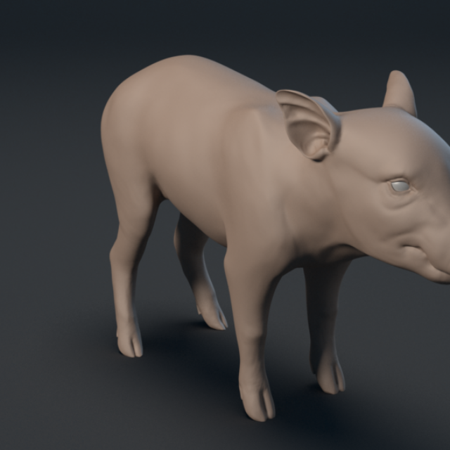 Wild Boar Piglet - Model