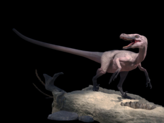 Birdinos - Grooming, Production Managing, Technical Director.