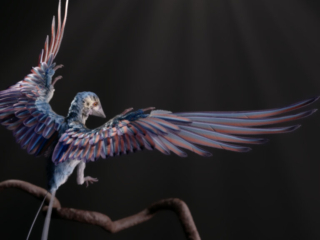 Birdinos - Grooming, Production Managing, Technical Director.